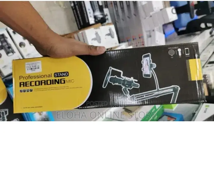 Professional Stand Recording Mic L