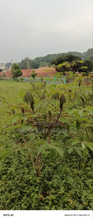 Plot for Sale in Kitetika