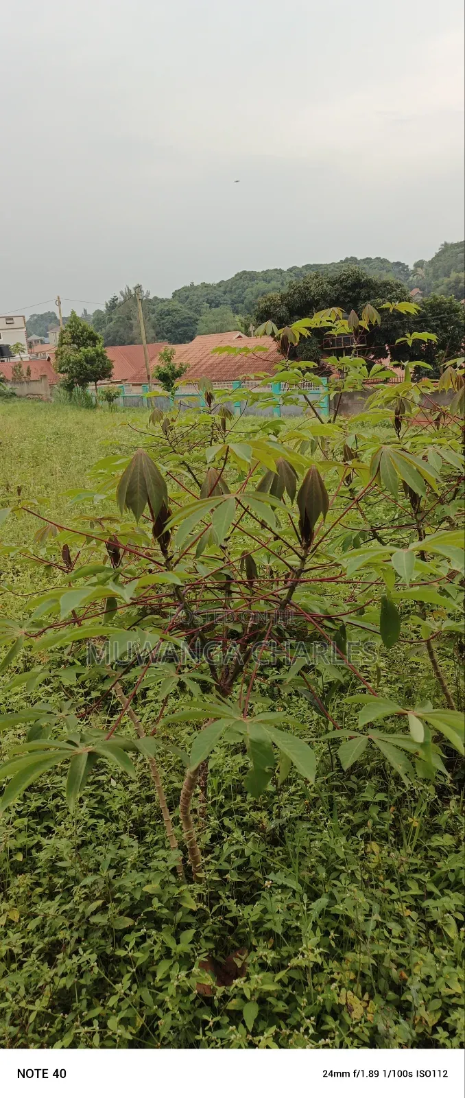 Plot for Sale in Kitetika