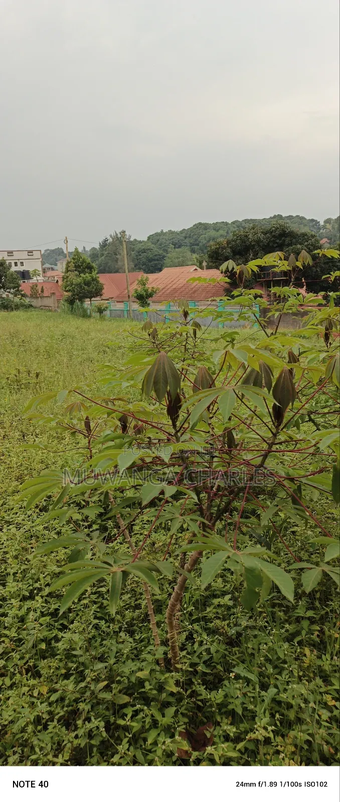 Plot for Sale in Kitetika