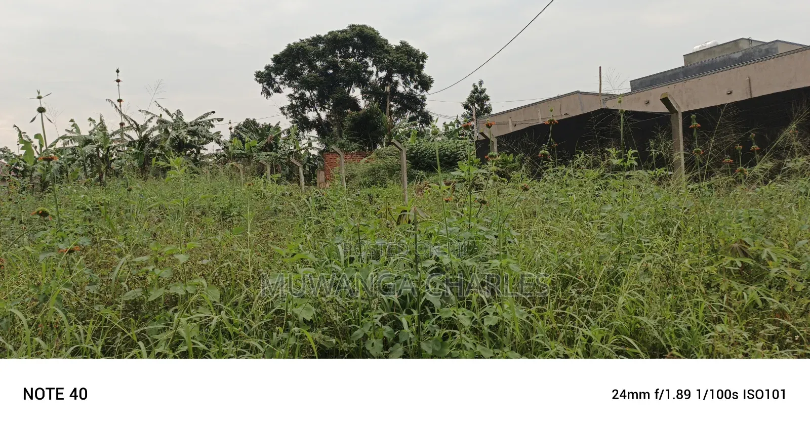 Plot For Sale In Magere