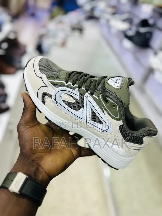 Original Dior B30 Casual Premium Low Top Sneakers in Central