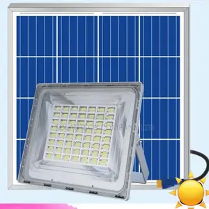 6.0/600w Blue Carbon Wawa Lights Pi