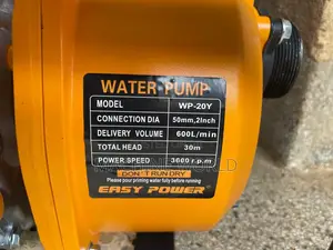 Easy Power Water Pump 2inch Wp20y