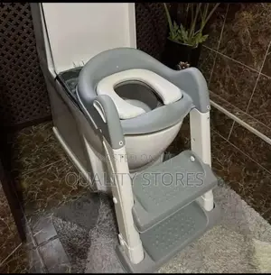 Kids Toilet Trainer Ladder Gray
