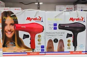 Professional Powerful Hair Dryer
