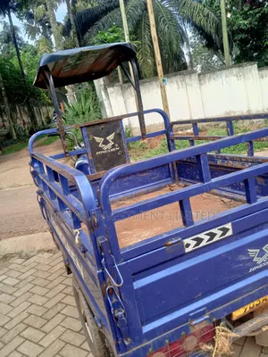 Tricycle 2024 Blue