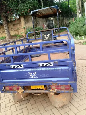 Tricycle 2024 Blue
