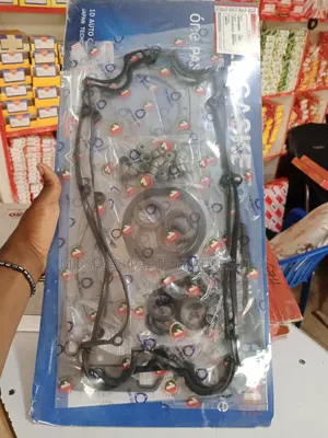 Overhaul Gaskets and Oil Seals