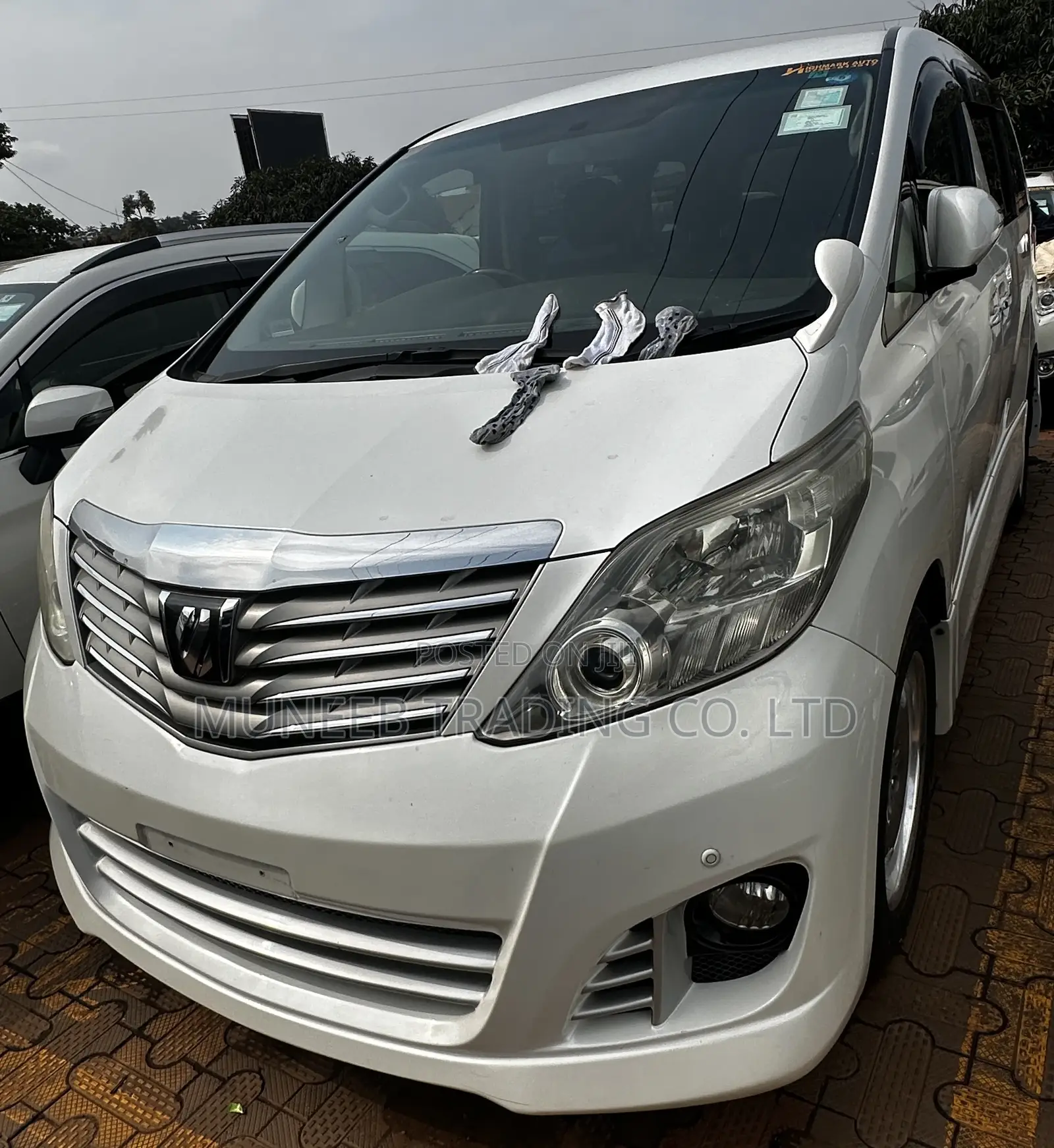 Toyota Alphard 2011 White