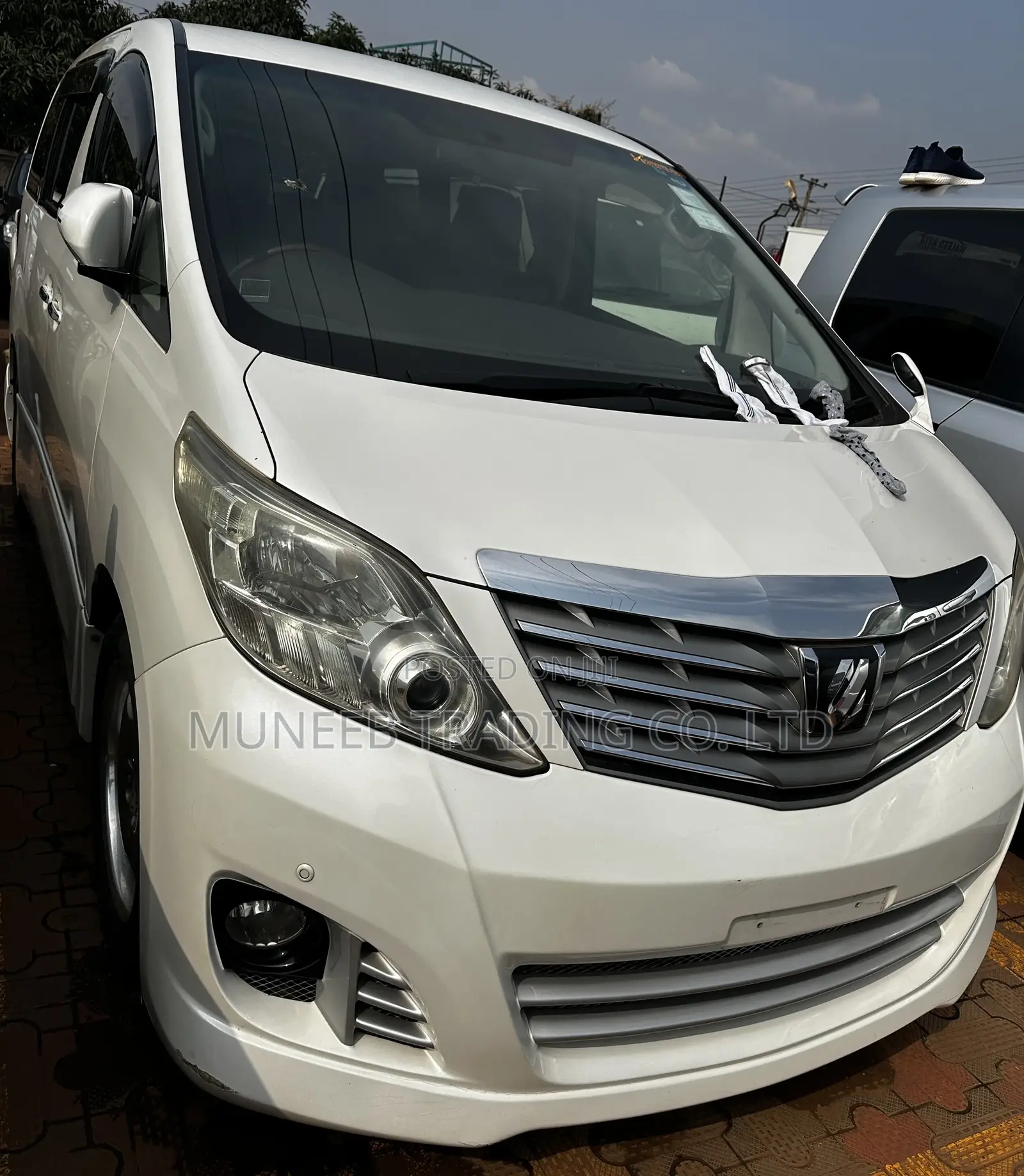 Toyota Alphard 2011 White
