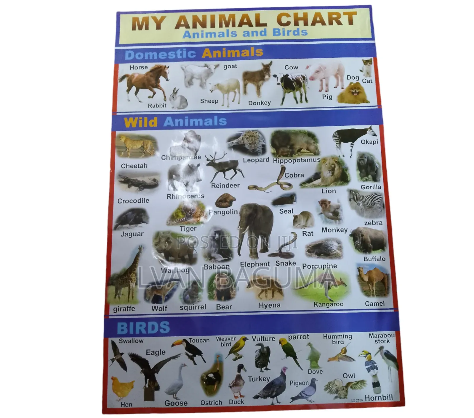 Animals and Birds Chart for Kid - Polythene Waterproof Chart