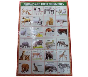 Animals and Their Young Ones Chart - Polythene Waterproof