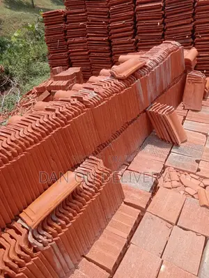 Tile World(Portuguese Roof Tiles)