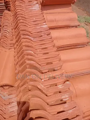 A New Roof (Portuguese Roof Tiles)