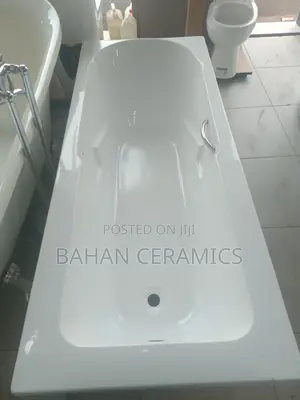 Bathtub With Pannel and Handles.
