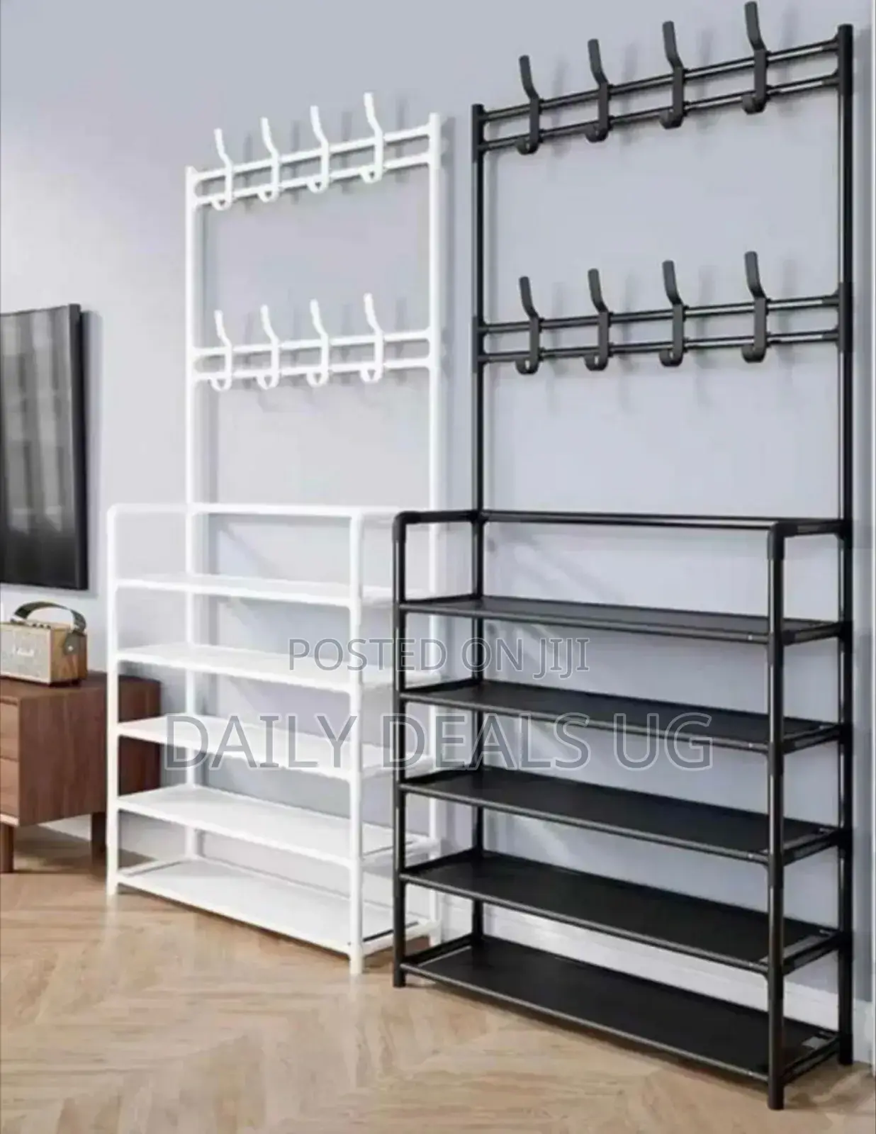 Metallic Hat and Shoe Rack