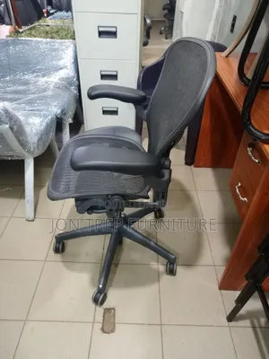 Executive Office Chair Hurman Mirror