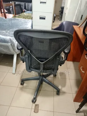 Executive Office Chair Hurman Mirror