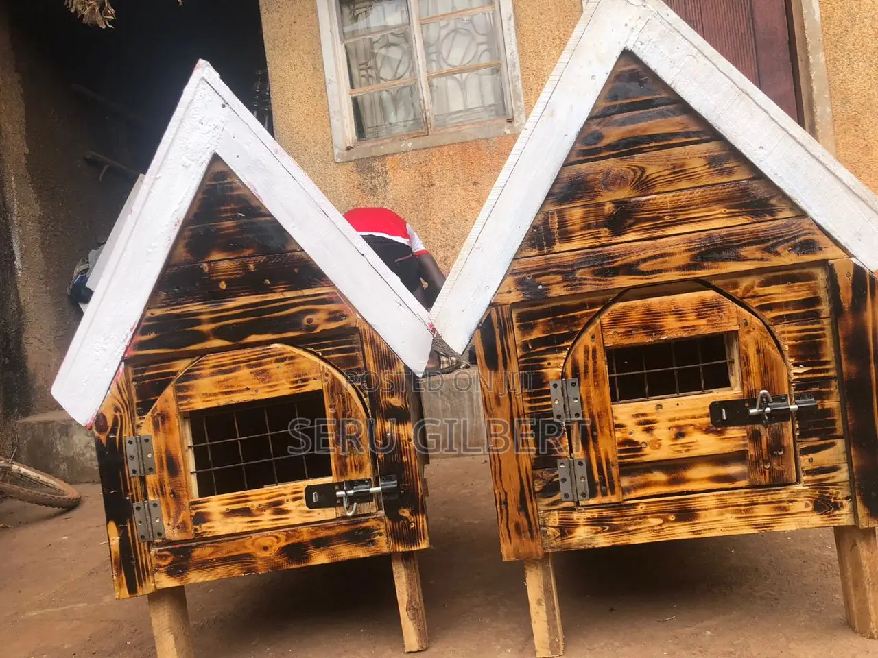  5555555maltese Puppy House