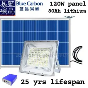 600W Wawa Blue Carbon Solar Flood Lights RDR