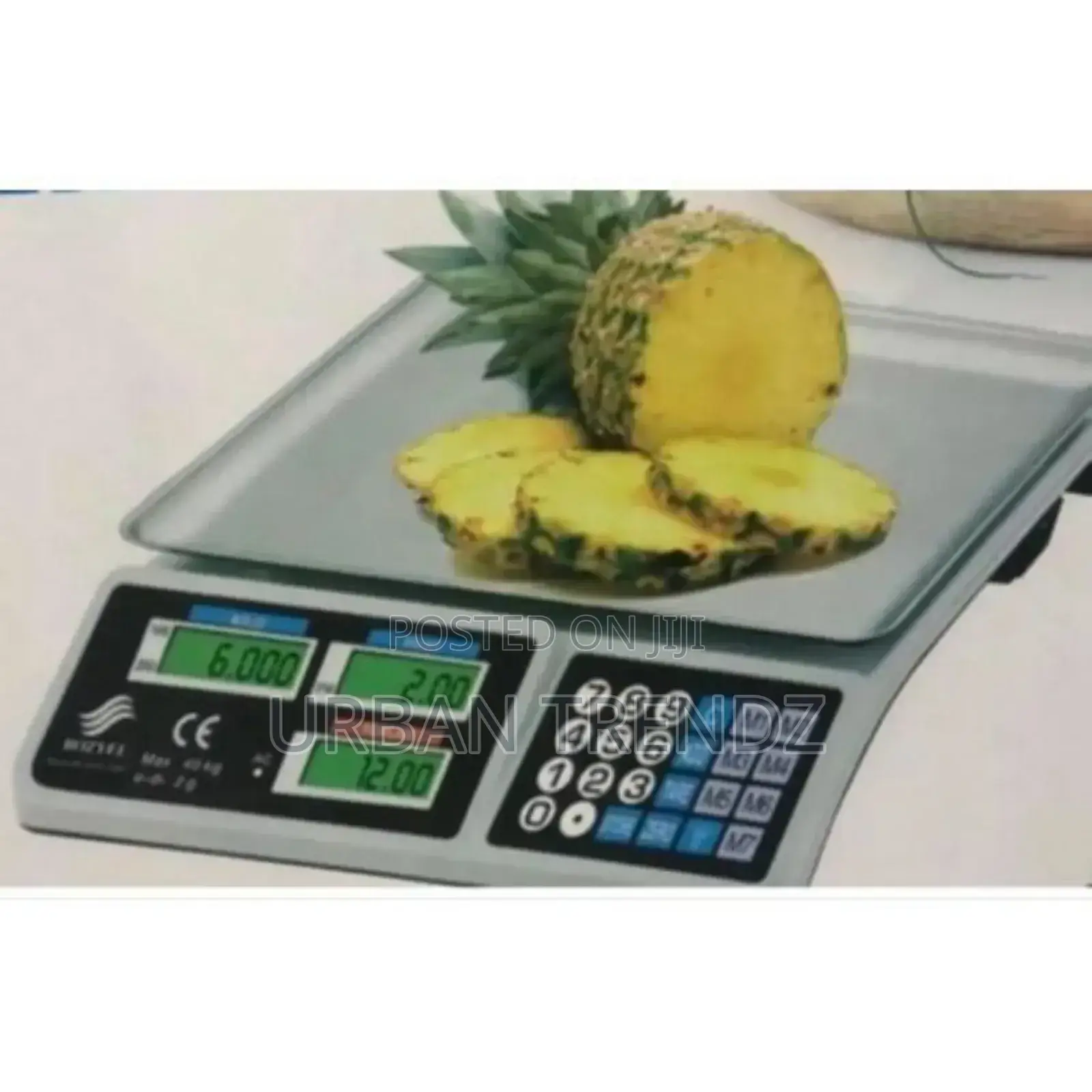 Electronic Rechargeable Digital Weighing Scale Of