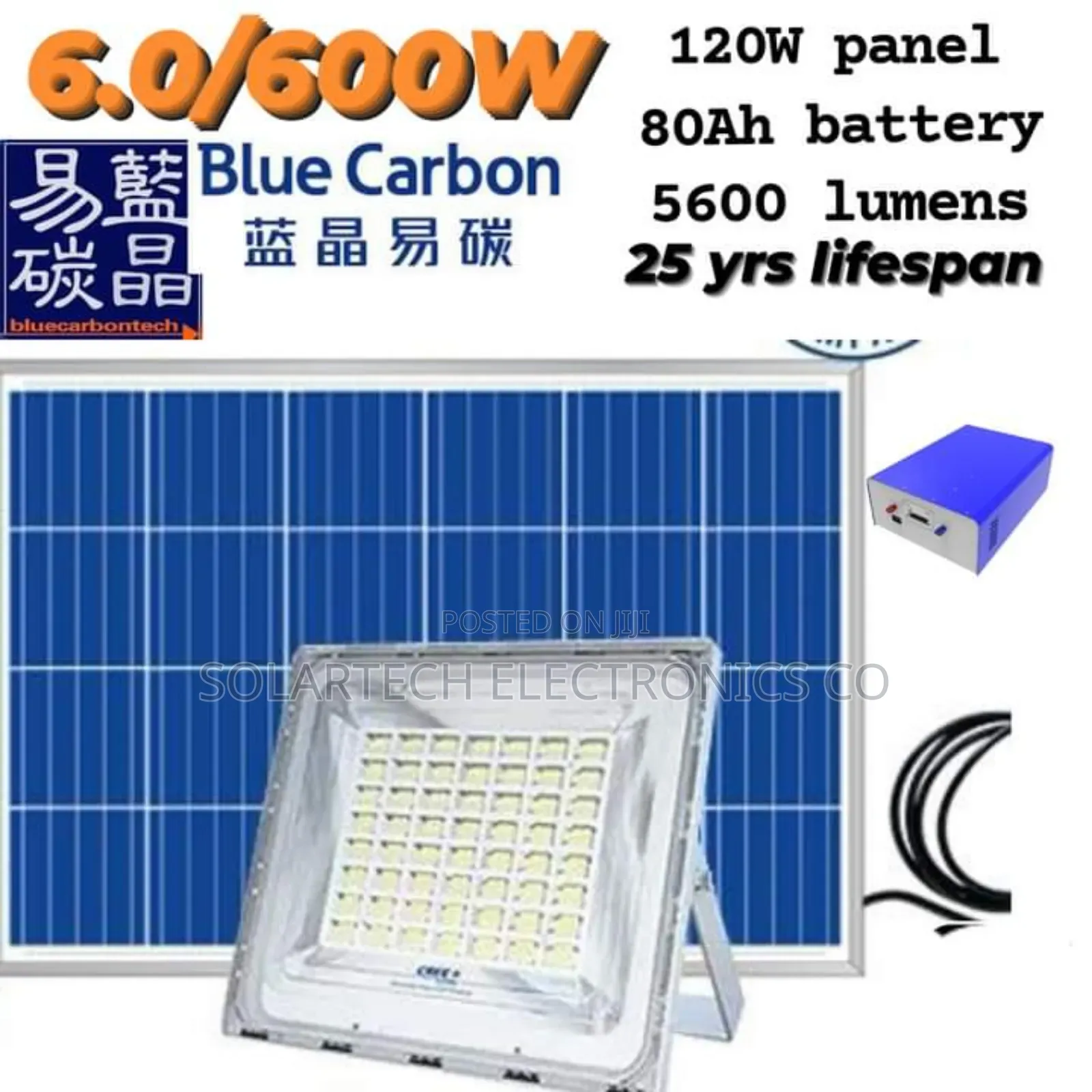 6.0W Blue Carbon Solar Flood Lights Vide
