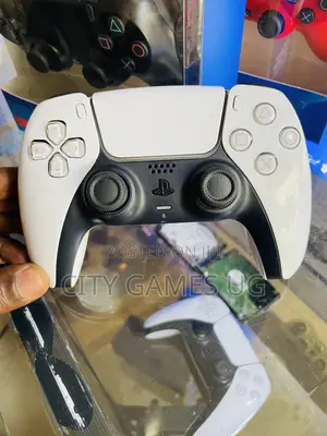 Playstation 5 Controller