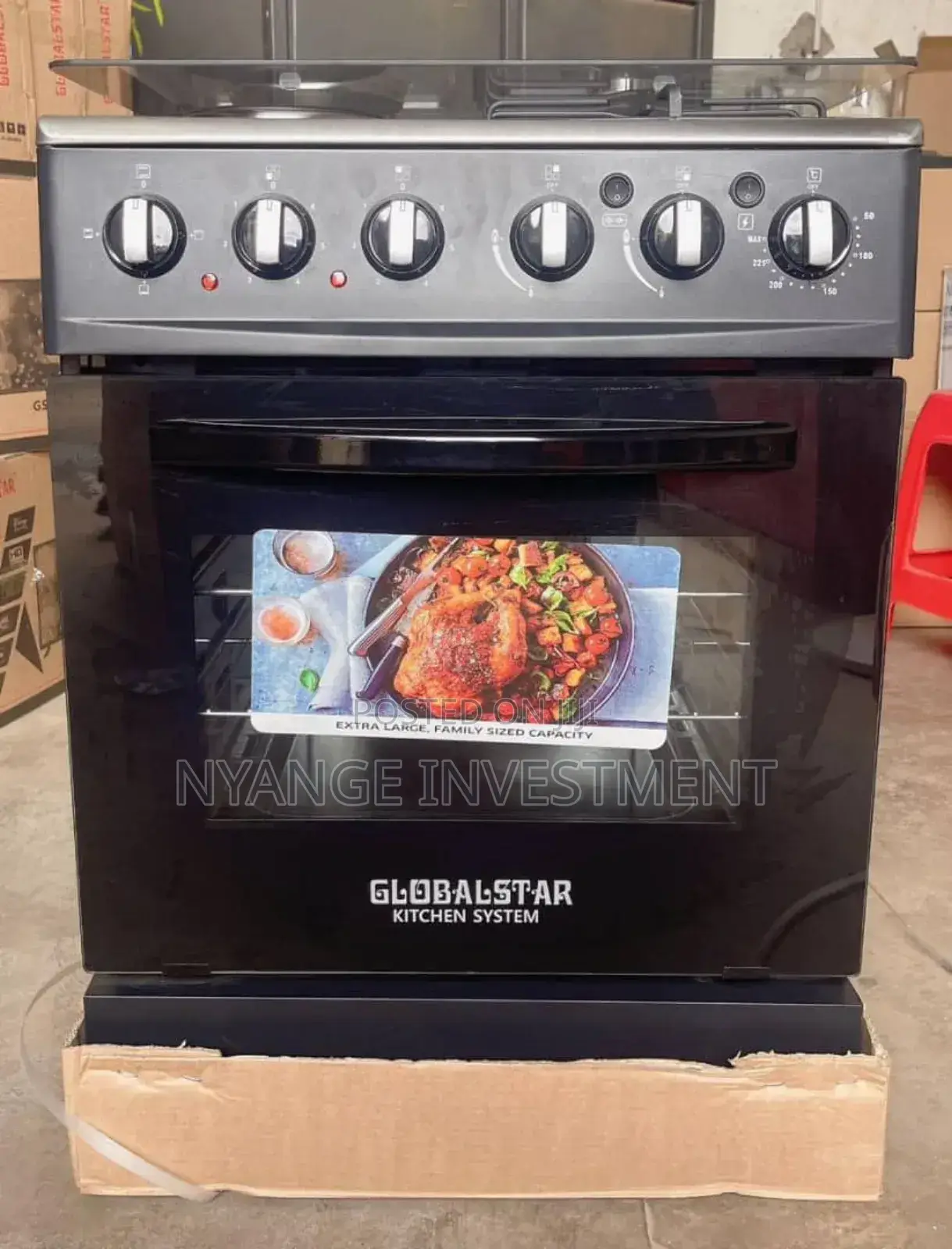 Global Star Electric and Gas Cooker. 2*2