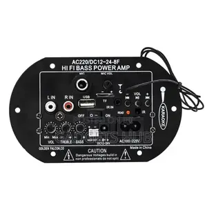 12v/24v 220V Digital Amplifier Board HIFI Bass