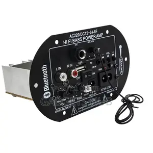 12v/24v 220V Digital Amplifier Board HIFI Bass