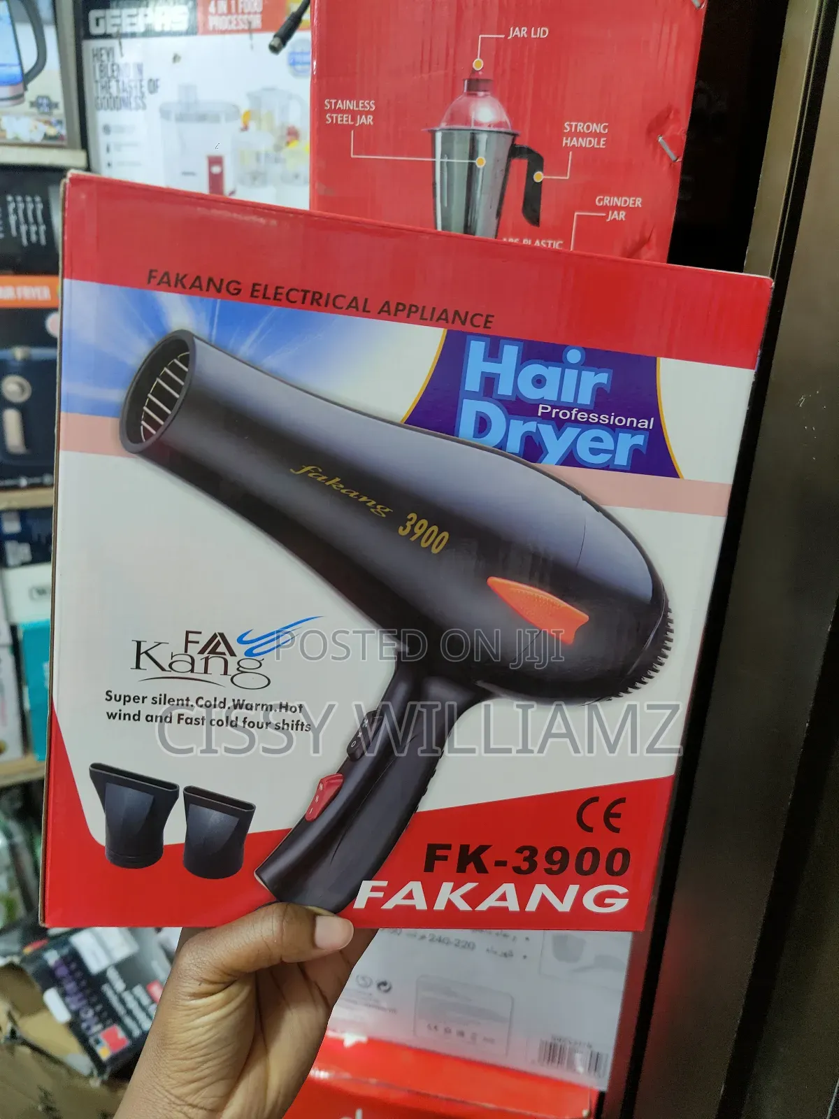 Fakang Professional Hair Dryer Fk-3900/Handheld Hair Dryer