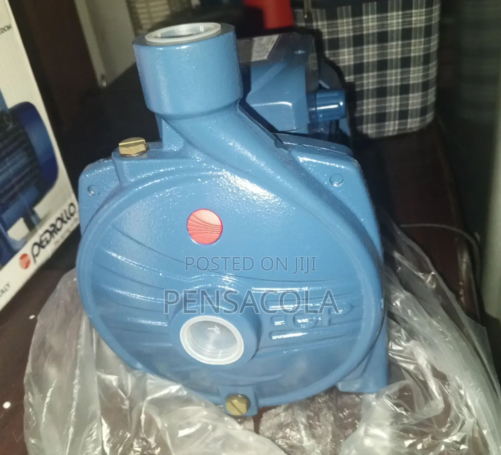 Original Pedrollo Surface Pump Electric 1 Hp