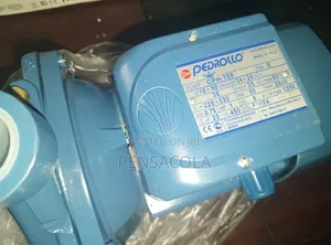 Original Pedrollo Surface Pump Electric 1 Hp