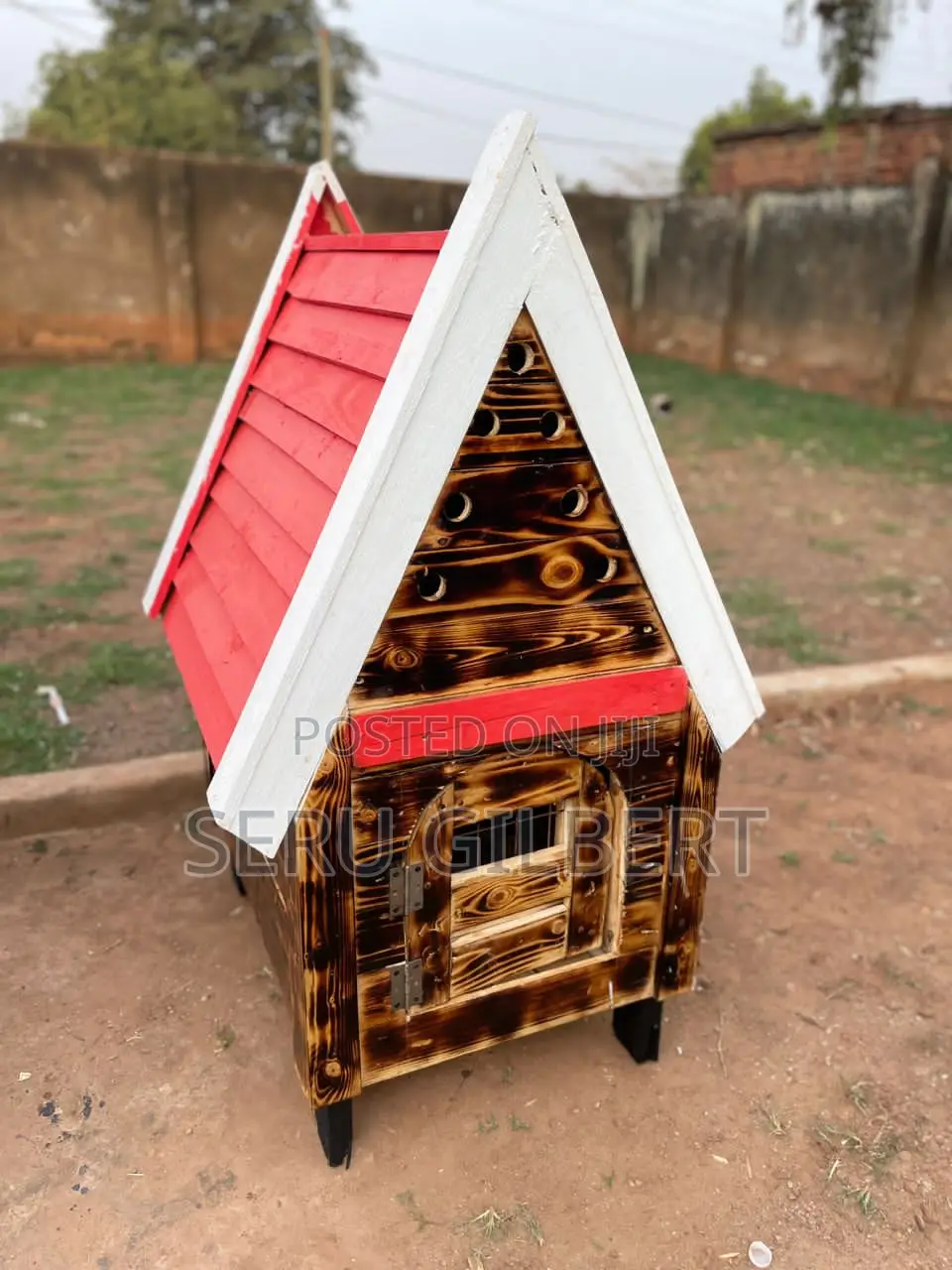 Malteseee Puppy House