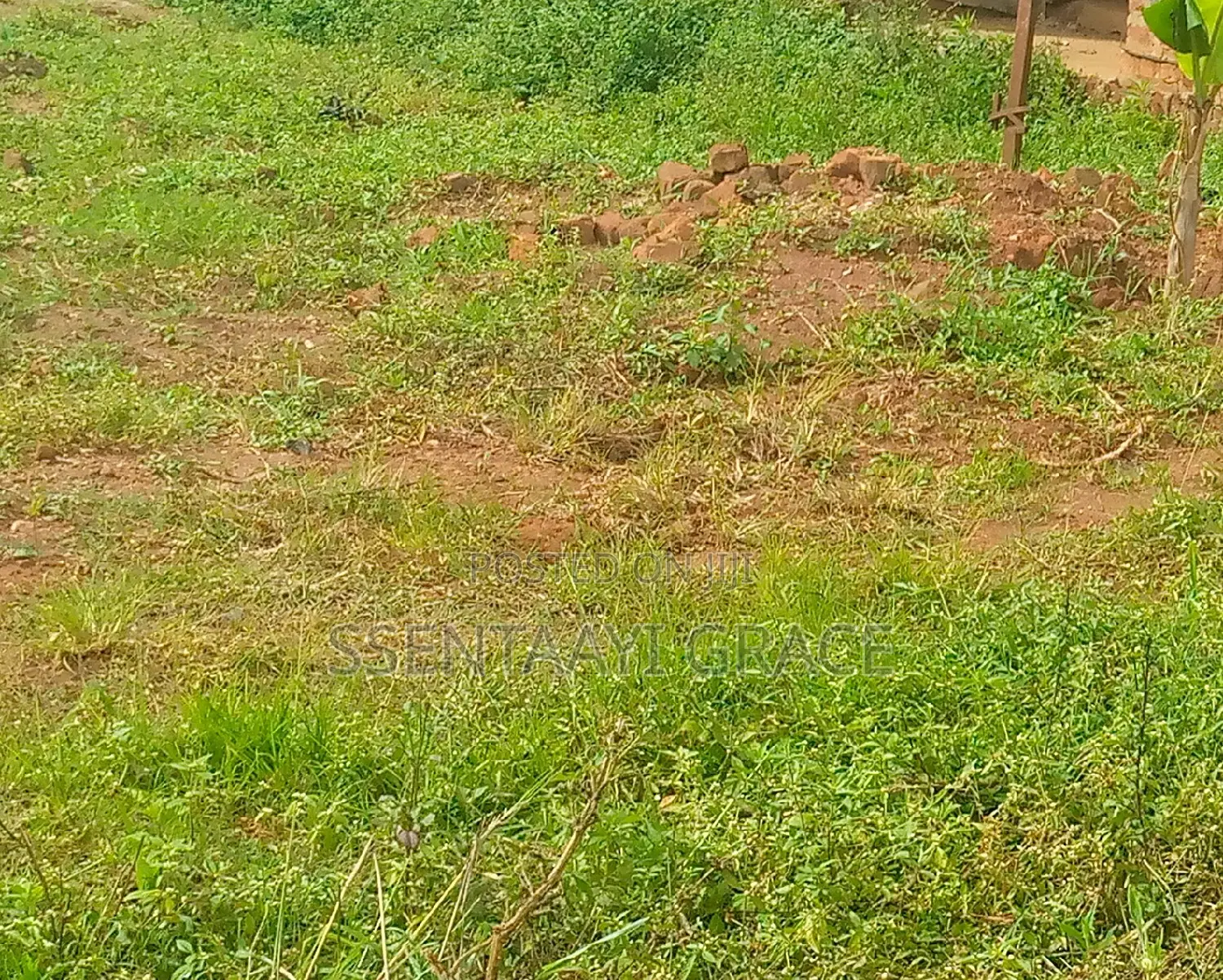 Buddo Kisozi 100 by 70 , With Tittle. Just on Road