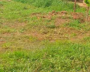 Buddo Kisozi 100 by 70 , With Tittle. Just on Road