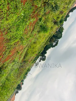 Garuga Lake View Plot of Land (50*100)