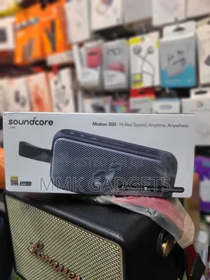 Sound Core Hi Res Motion Sound