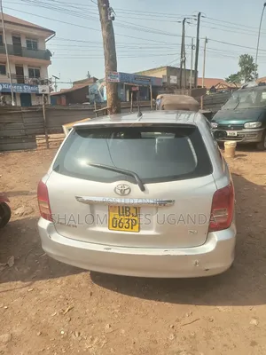 Toyota Corolla Fielder 2010 Silver