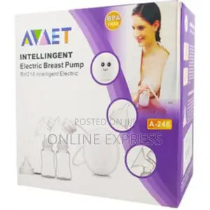 Photo - Double Electric Breast Pump