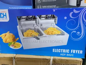 Double 12L Electric Fryer/ ADH Electric Fryer