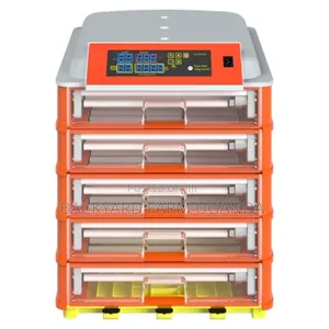 250 Eggs Fully Automatic
