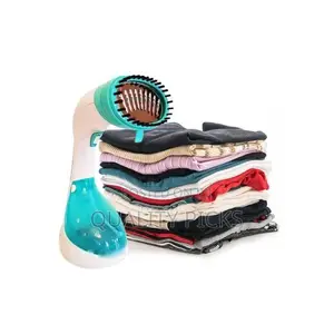 Portable Handheld Detachable Water Tank Garment Steamer