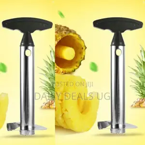 Stainless Pineapple Cutter
