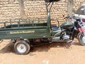 Tricycle Ihemas 2023 Green
