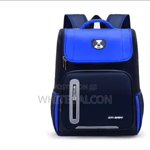 Durable Water Resistant, Large Capacity School Bag-Blue