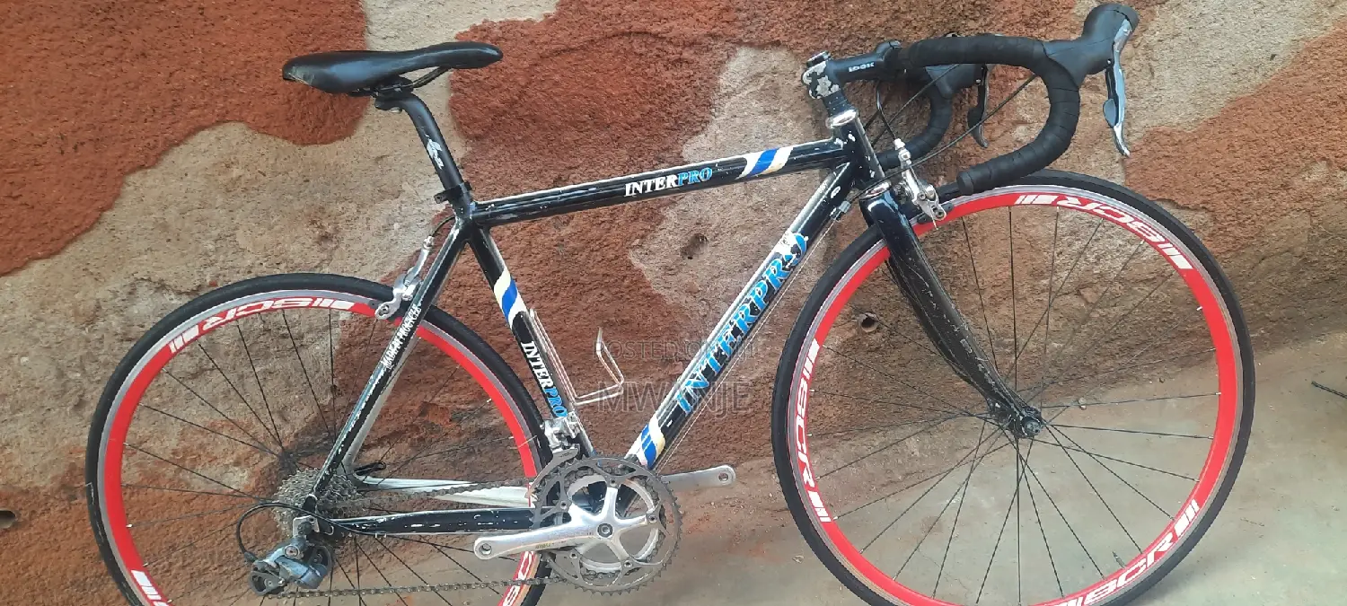 Mountain Bike Nice