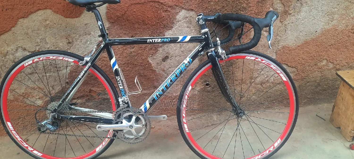 Mountain Bike Nice