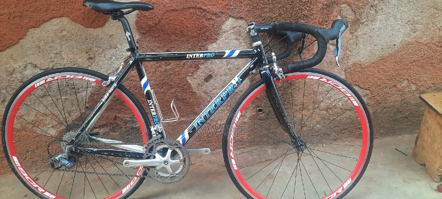 Mountain Bike Nice